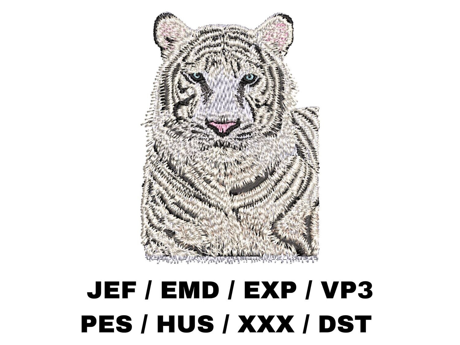 White Bengal Tiger