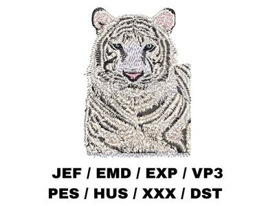 White Bengal Tiger
