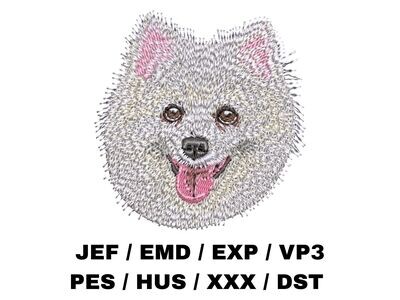 American Eskimo Dog