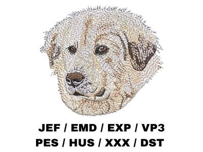 Great Pyrenees 1