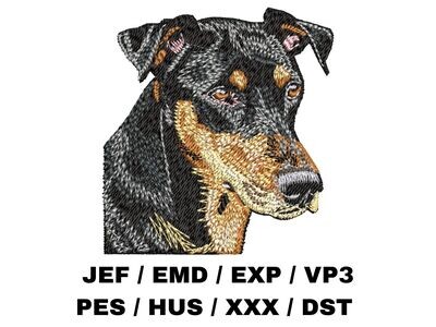 Doberman Pinscher 2