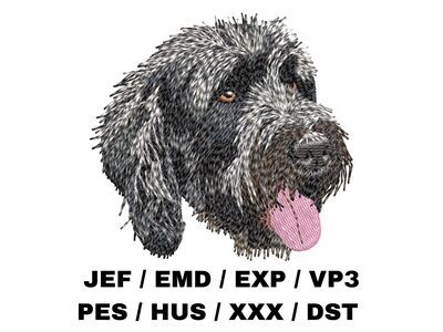 Black Russian Terrier 1