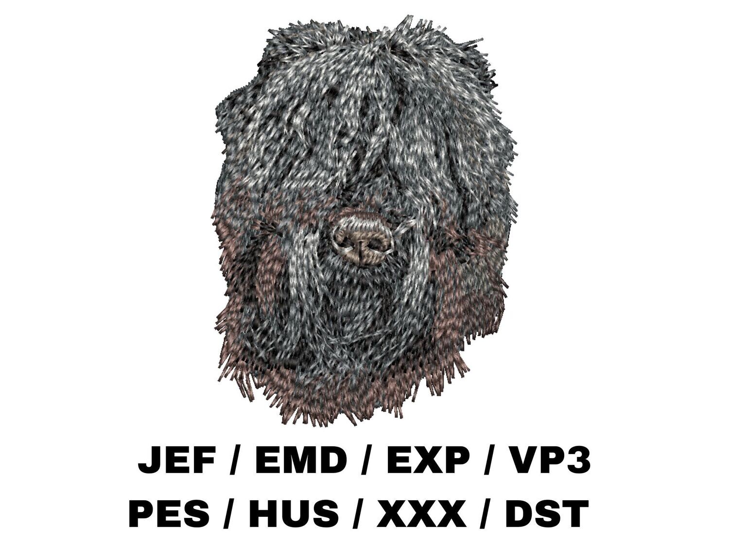 Black Russian Terrier 2