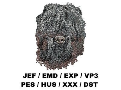 Black Russian Terrier 2