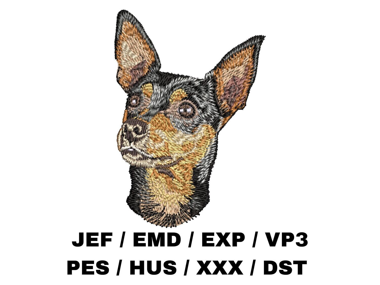 Miniature Pinscher