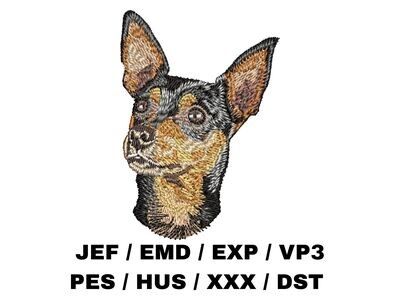 Miniature Pinscher