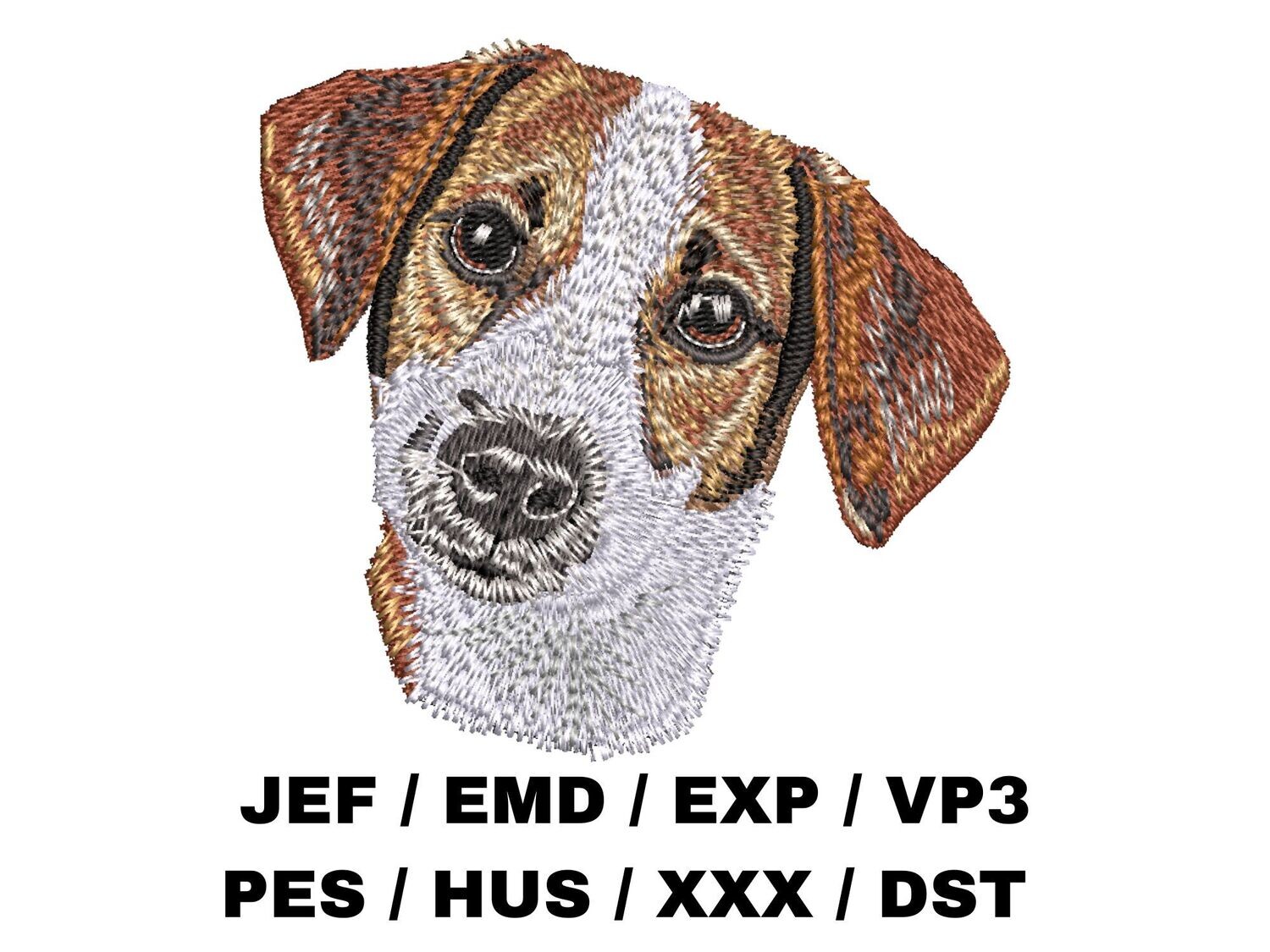 Russell Terrier 1