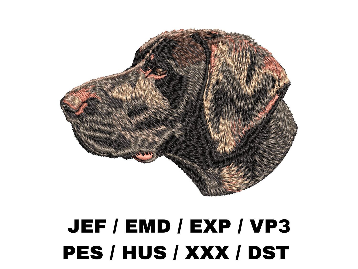 German Shorthaired Pointer 2