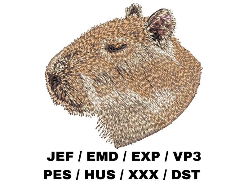Capybara