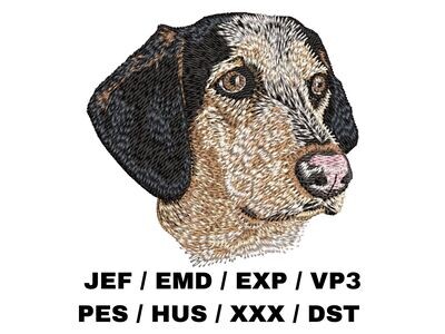 Bluetick Coonhound