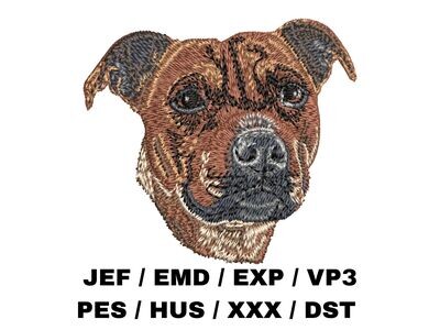 Staffordshire Bull Terrier 1