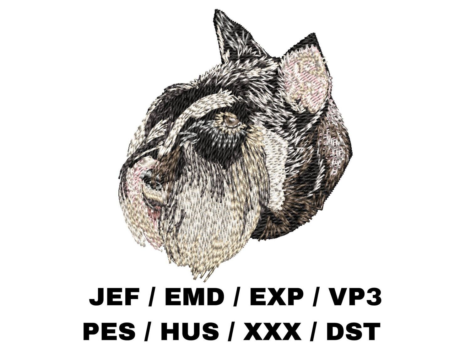 Miniature Schnauzer 2
