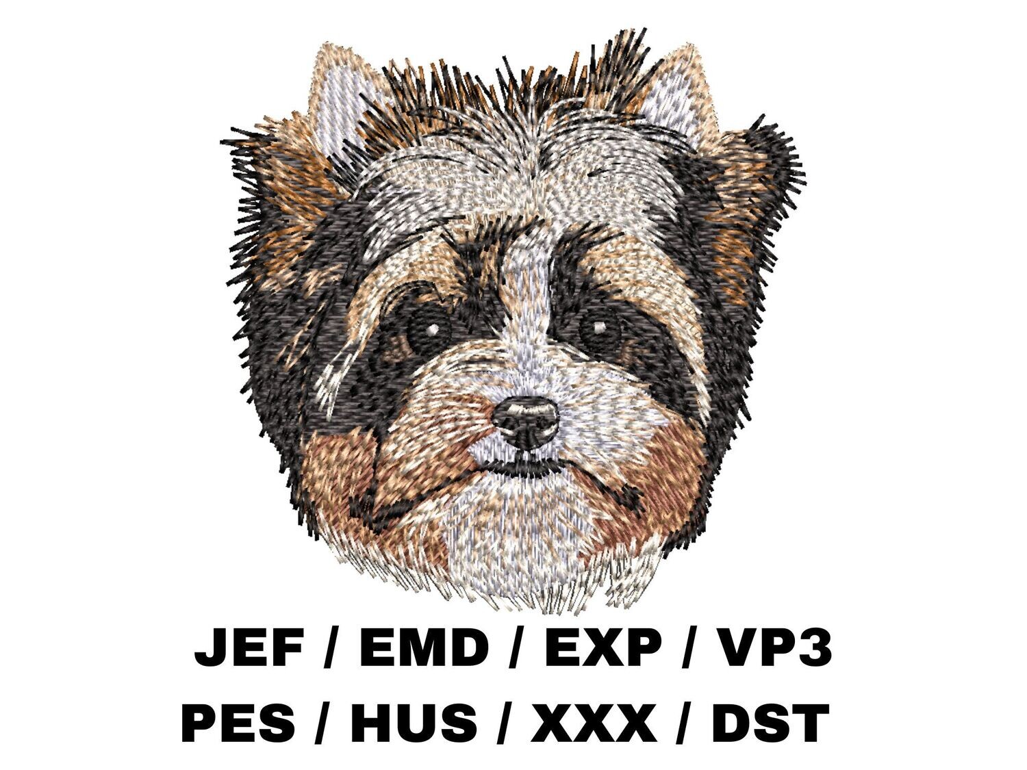 Biewer Terrier