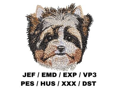 Biewer Terrier