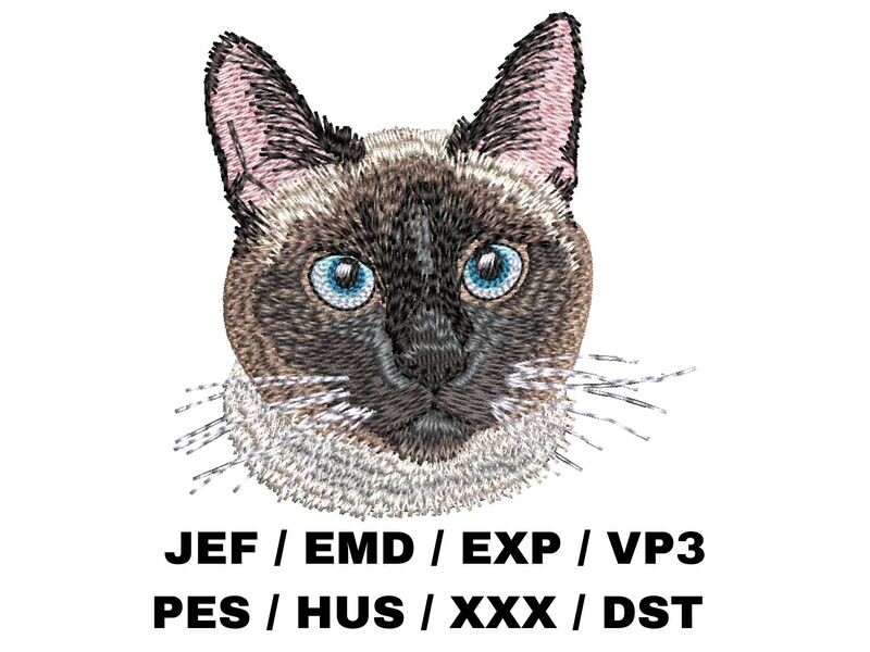 Siamese Cat