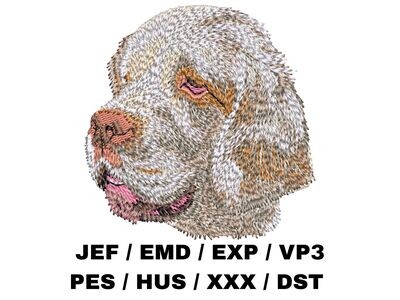 Clumber Spaniel
