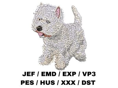 West Highland White Terrier 2 - Full Body