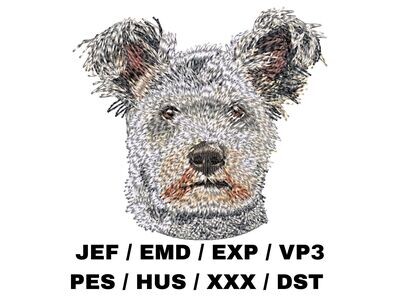 Pumi