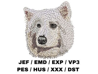 Samoyed 2