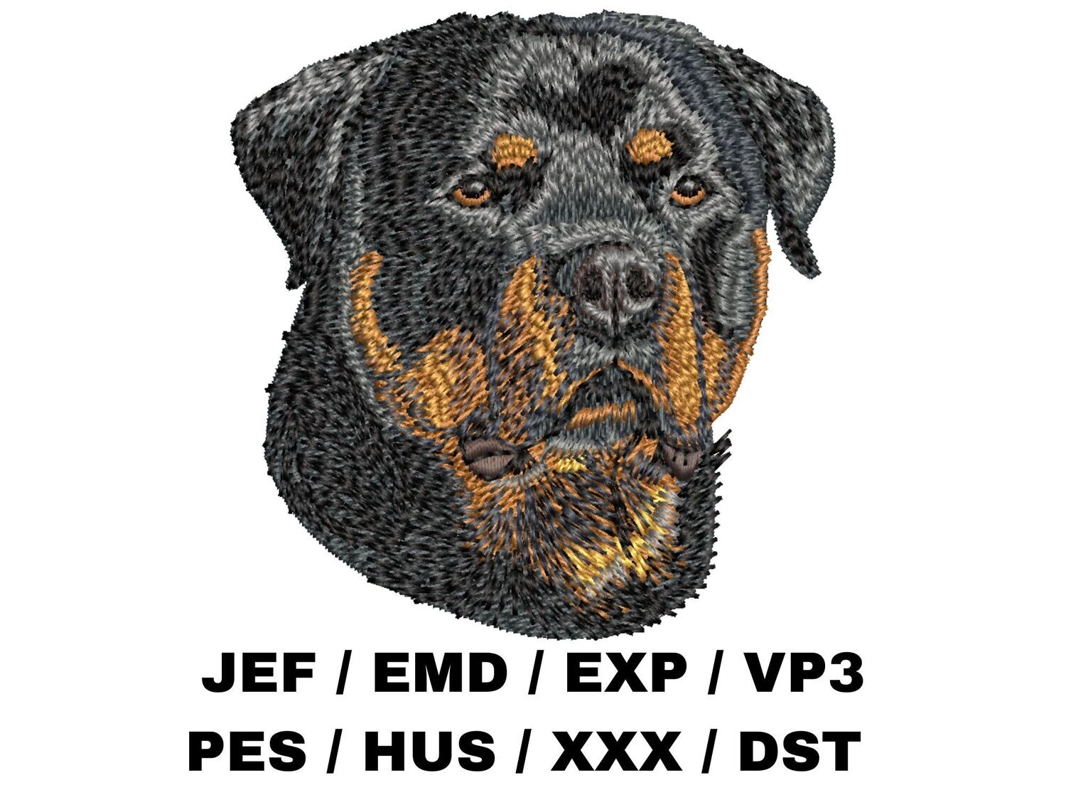 Rottweiler 5