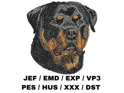 Rottweiler 5
