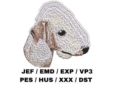 Bedlington Terrier