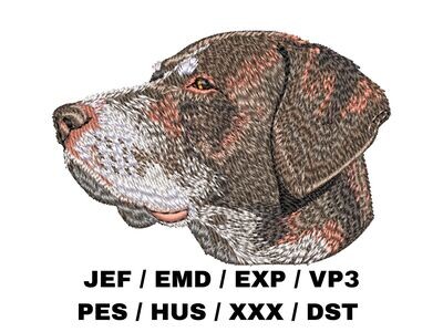 German Shorthaired Pointer 3