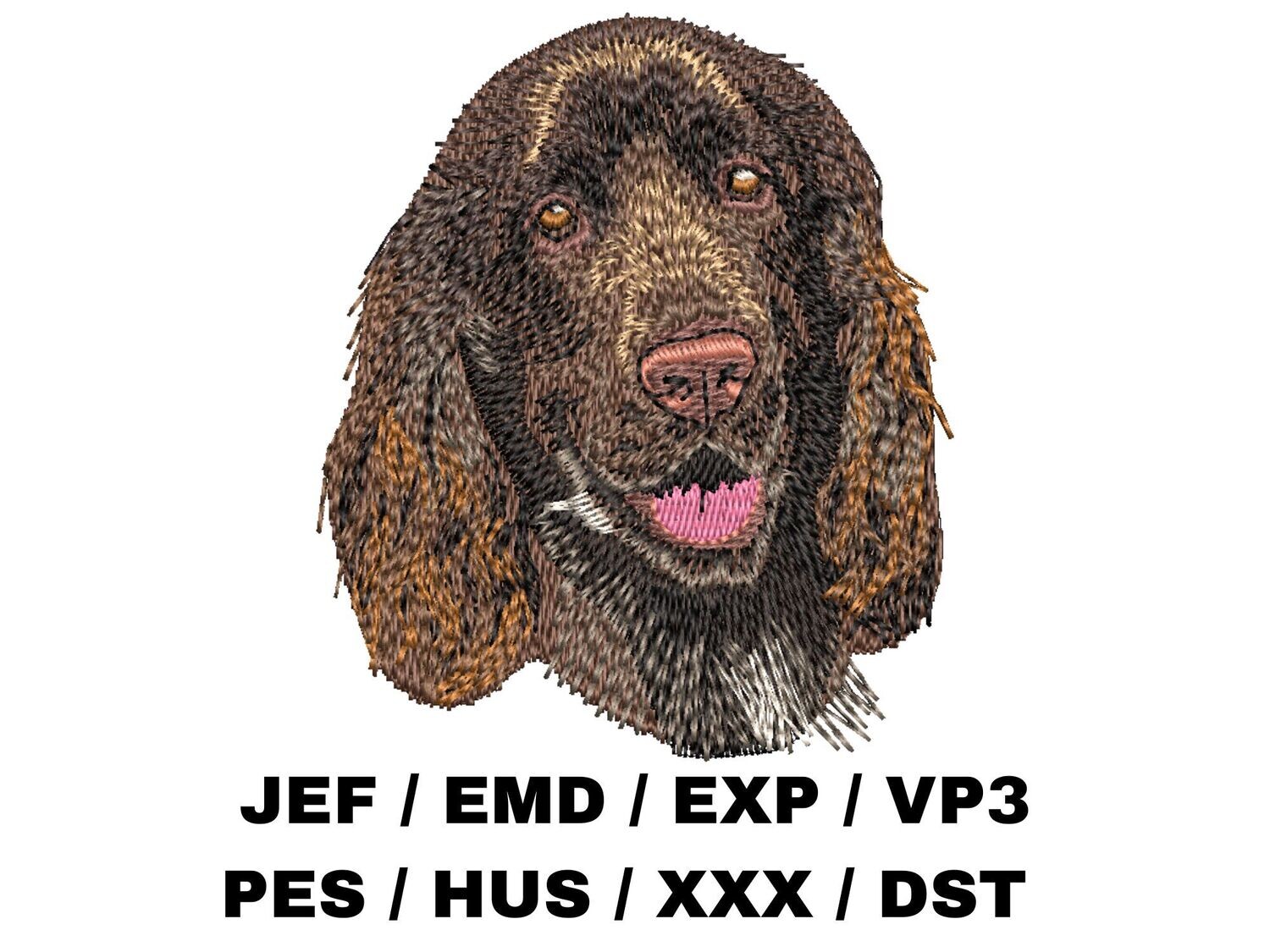 Field Spaniel