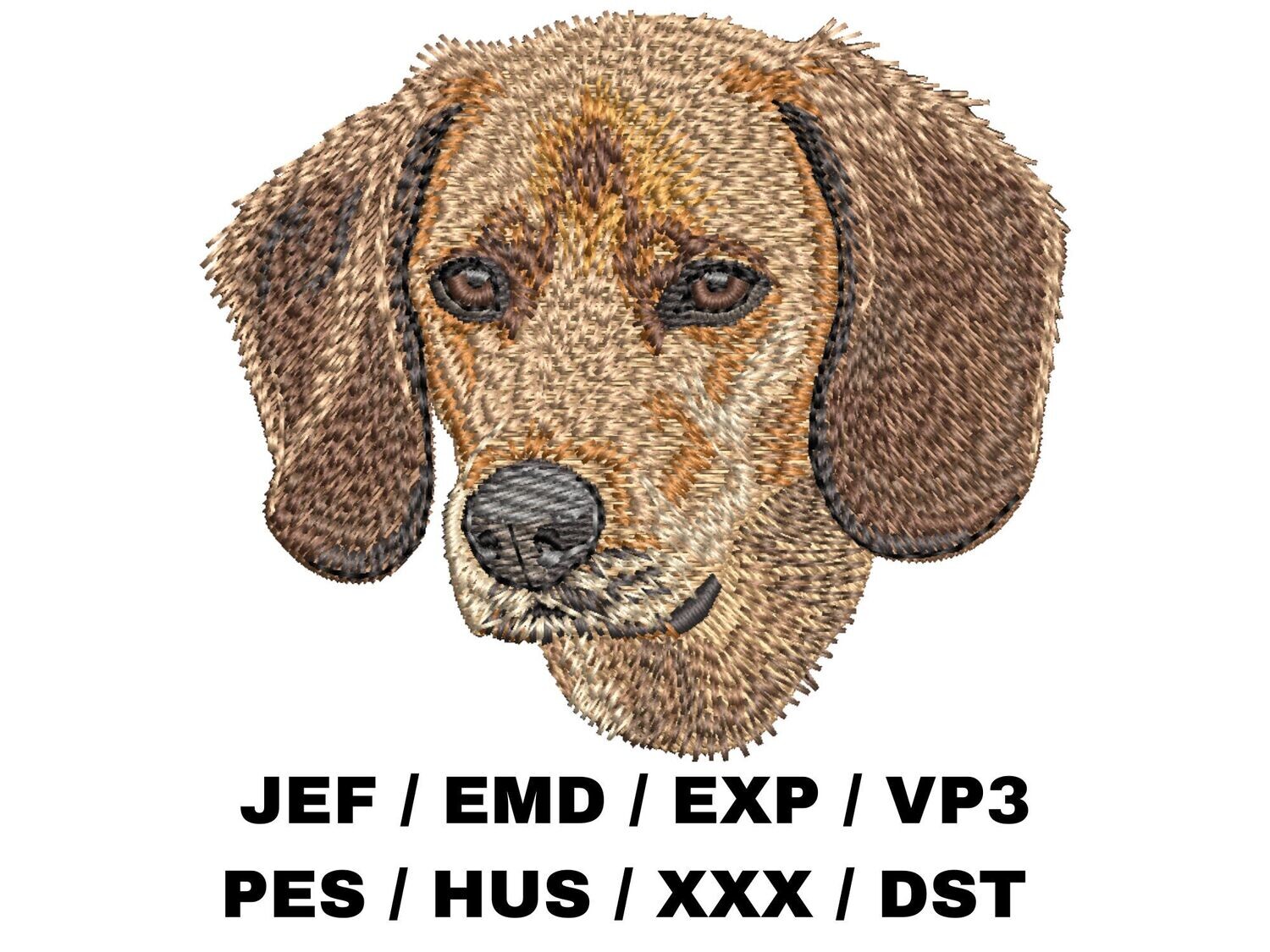 Redbone Coonhound