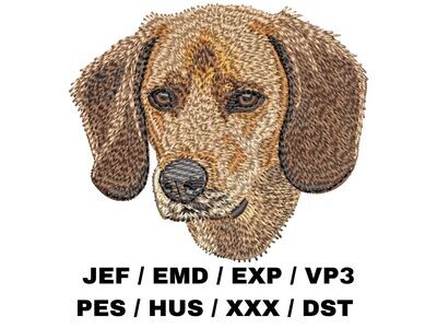 Redbone Coonhound