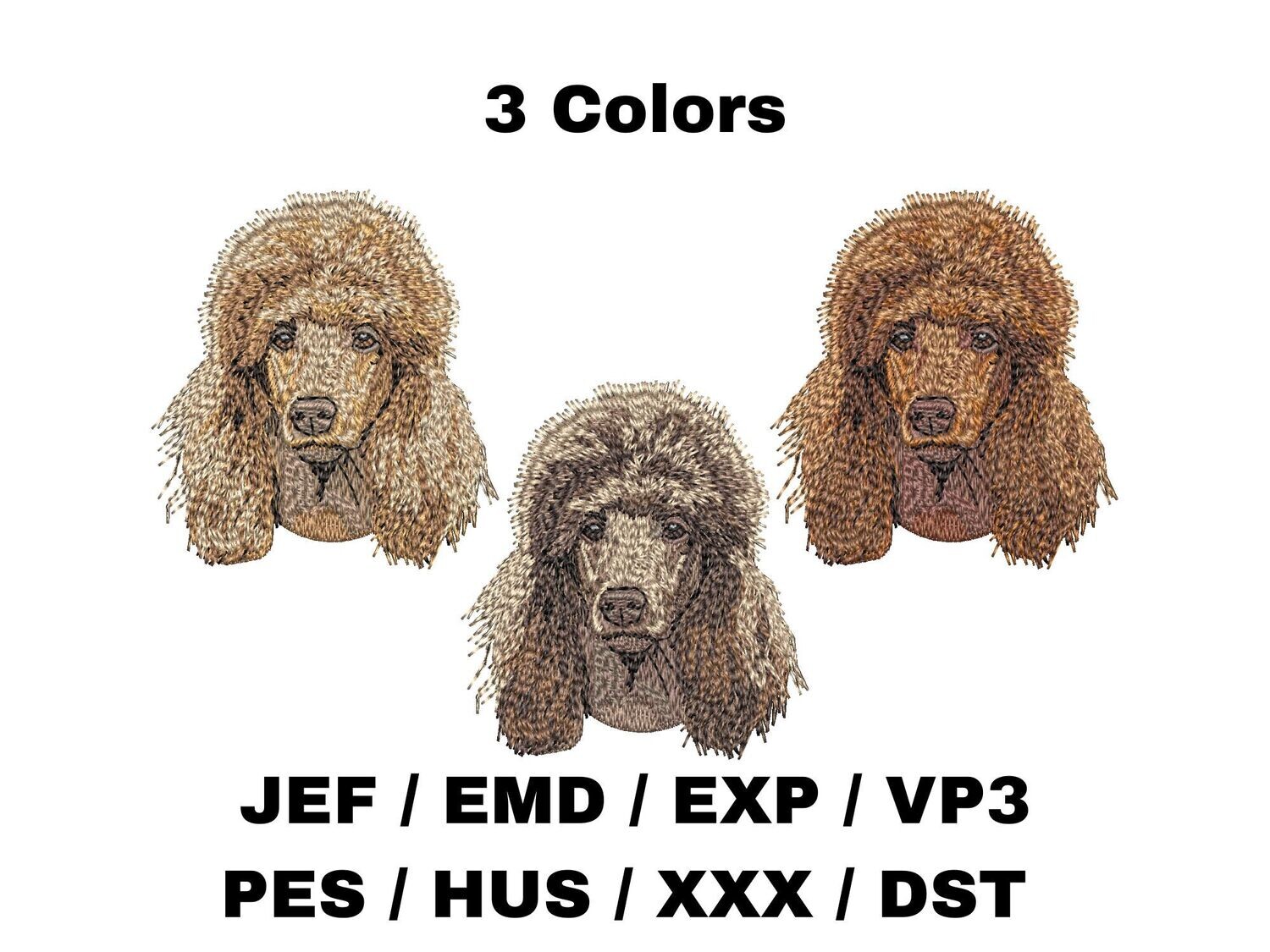 Poodle 5