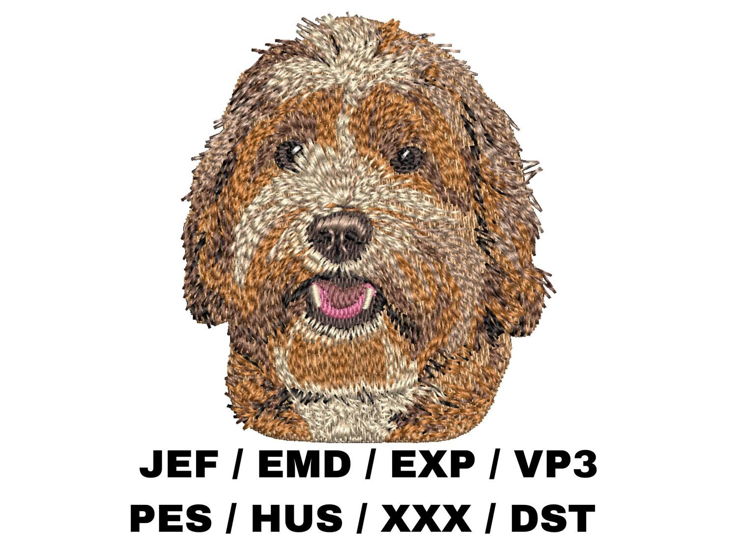 Labradoodle