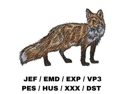 Fox - Full Body