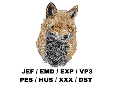 Fox Portrait
