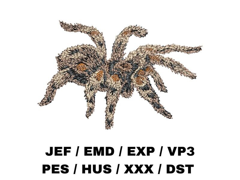 Tarantula Spider