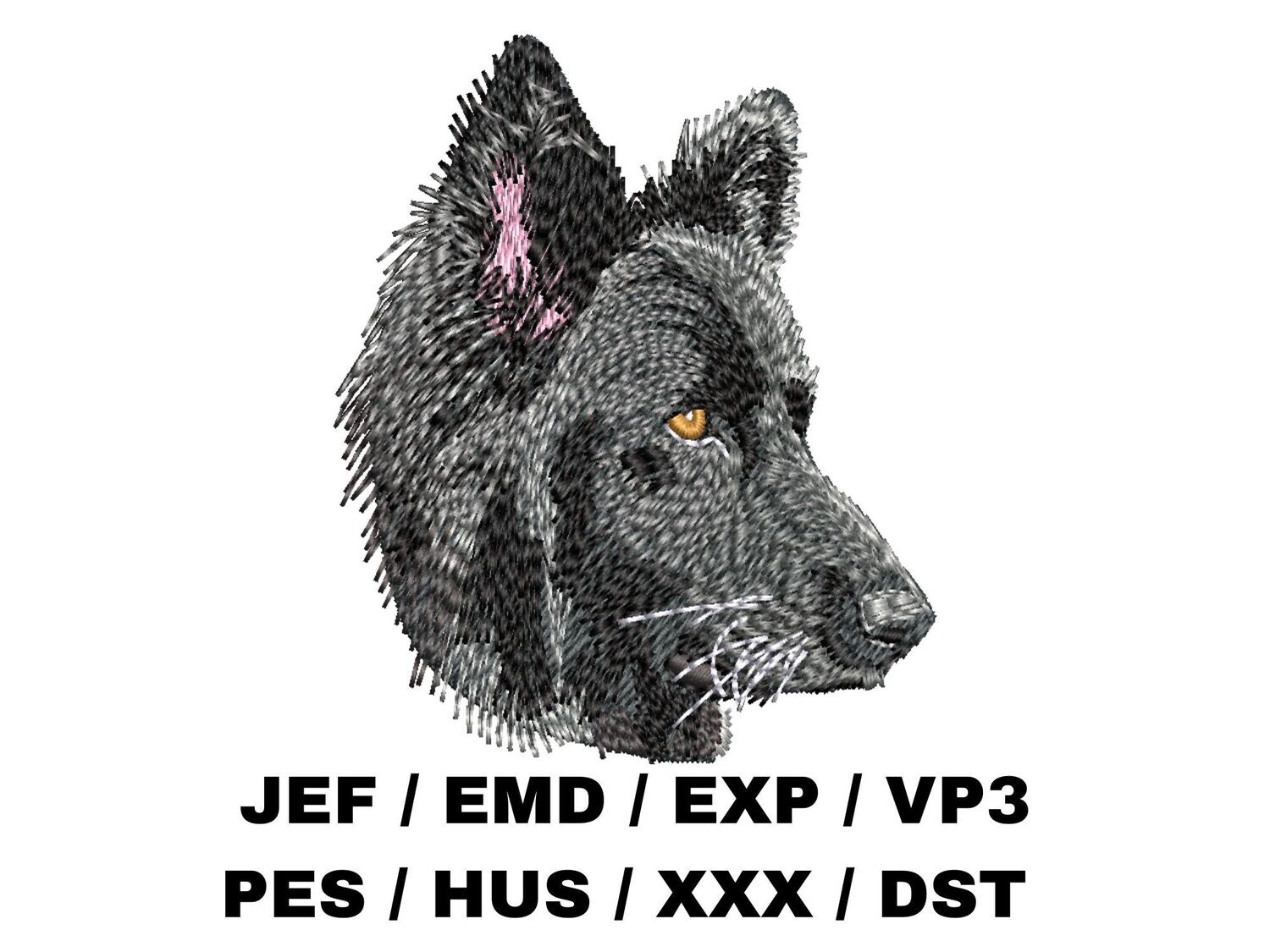 German Shepherd 6
