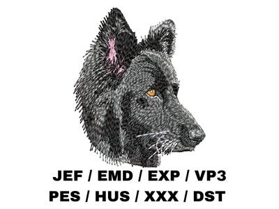 German Shepherd 6