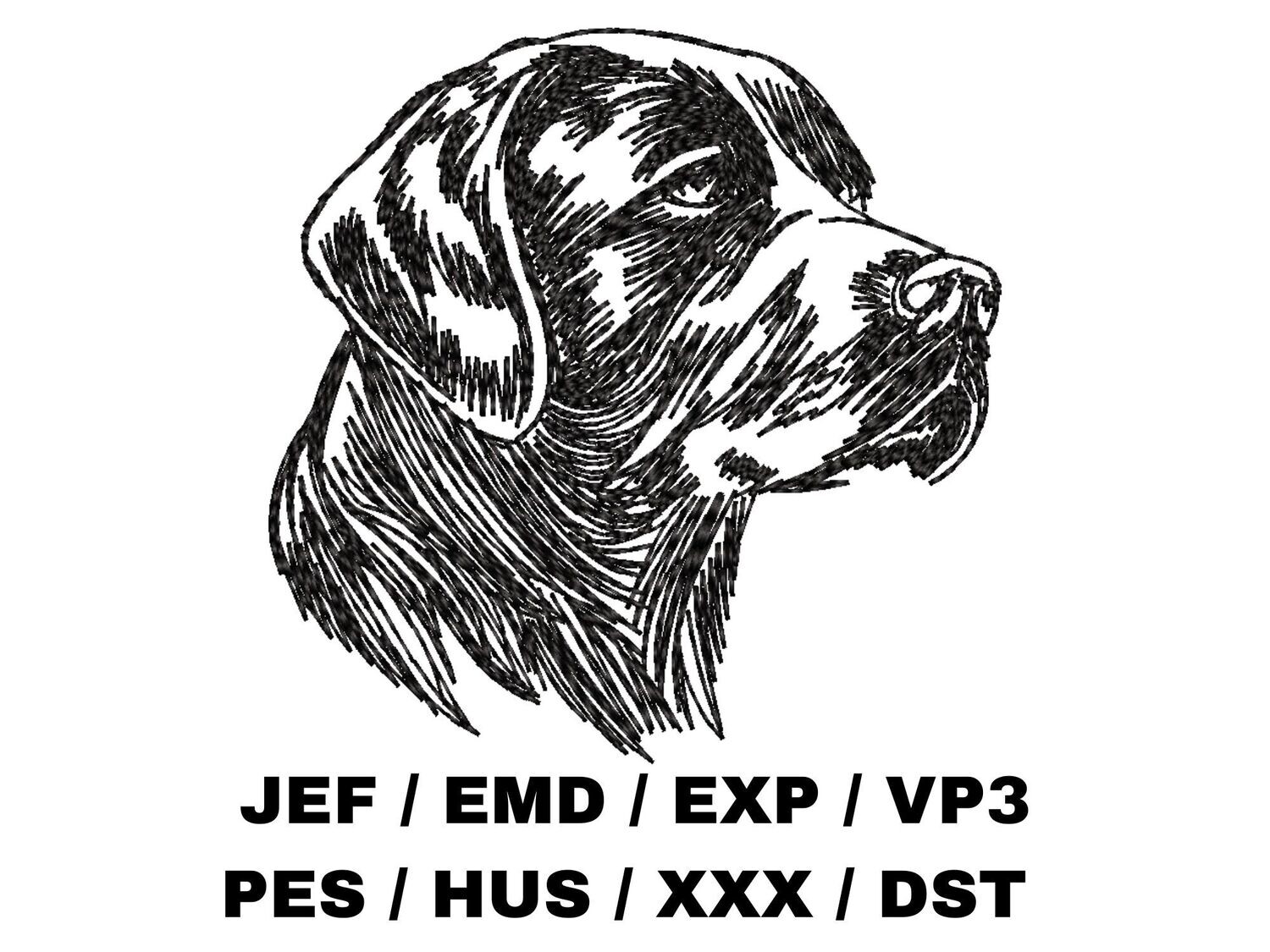 Labrador Retriever Retriever in Hand Sketch Effect