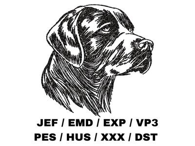 Labrador Retriever Retriever in Hand Sketch Effect