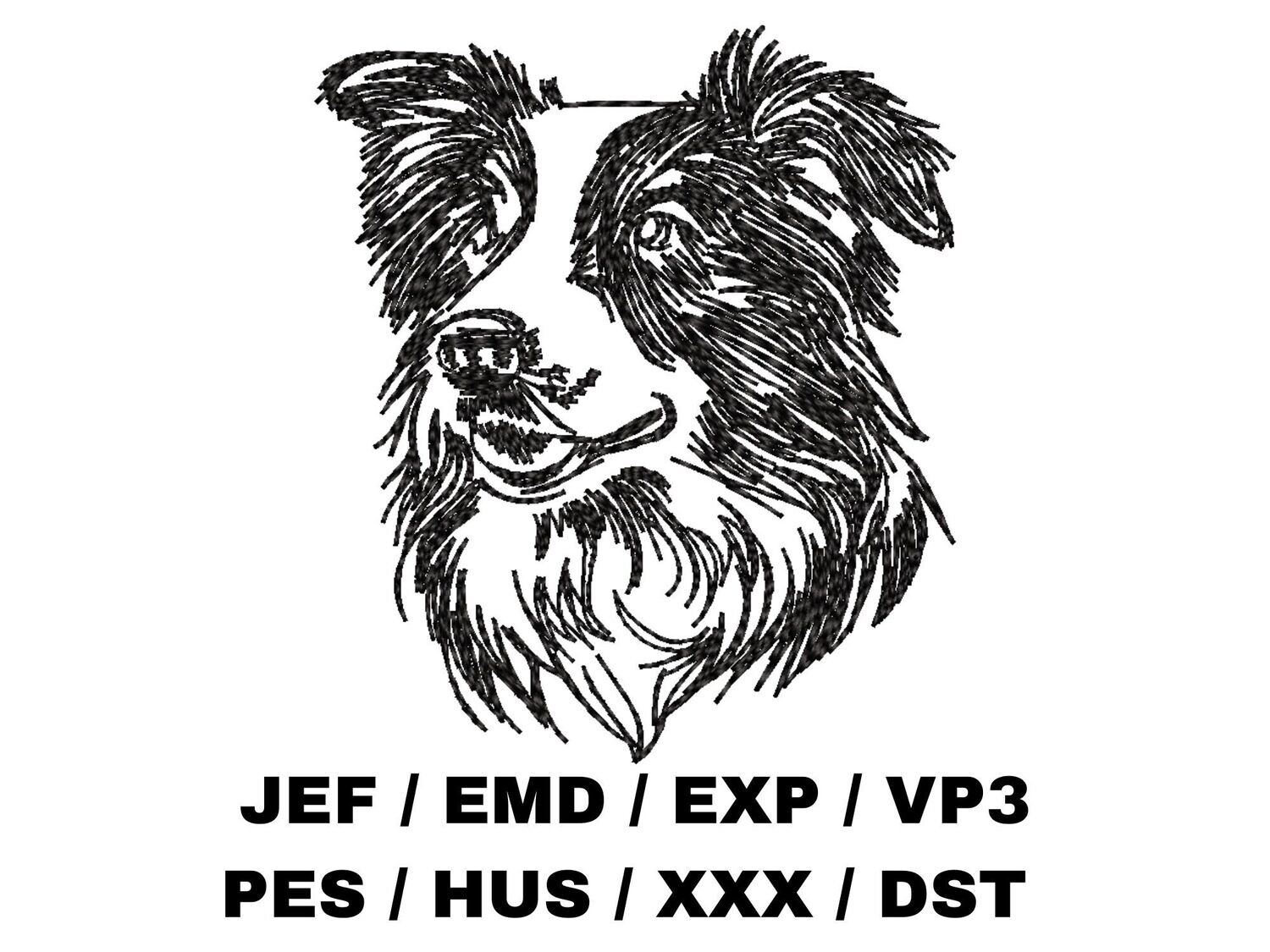Border Collie in Hand Sketch Effect