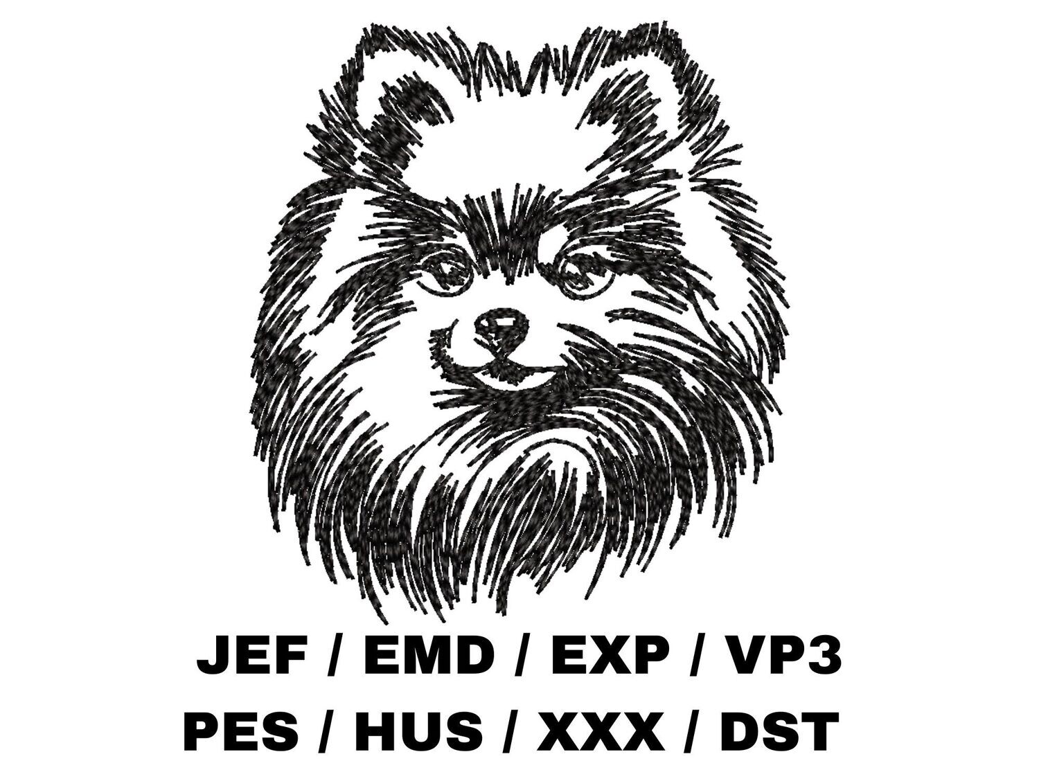 Pomeranian in Hand Sketch Effect
