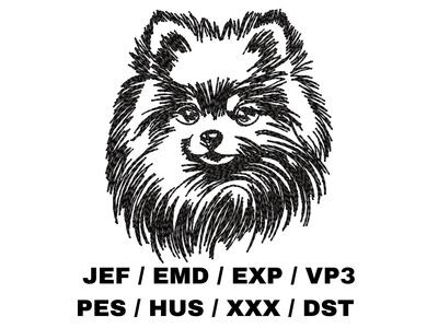Pomeranian in Hand Sketch Effect