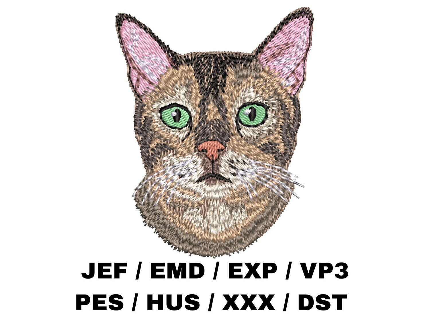 Bengal Cat 1