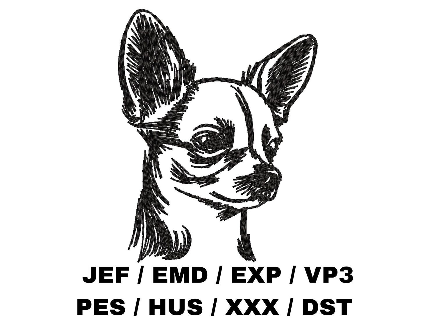 Chihuahua Sketch
