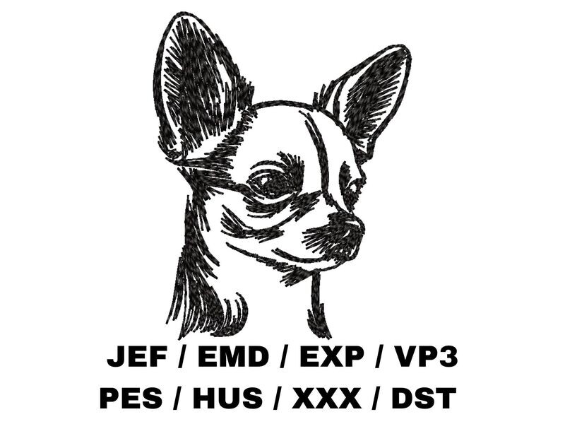 Chihuahua Sketch