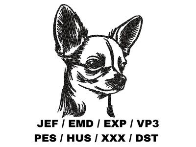 Chihuahua Sketch