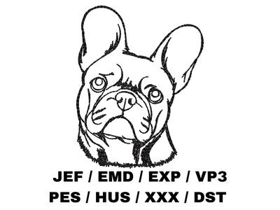 French Bulldog Sketch