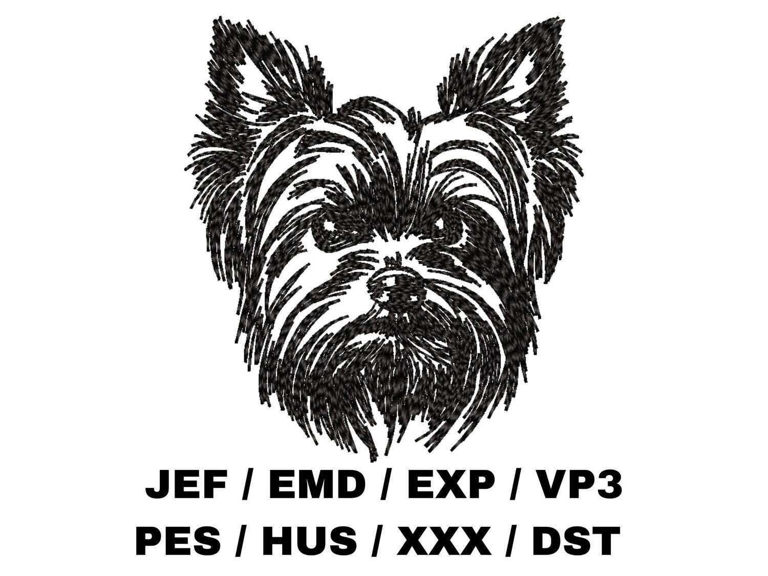 Yorkshire Terrier Sketch