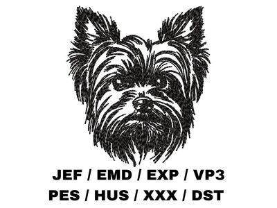 Yorkshire Terrier Sketch