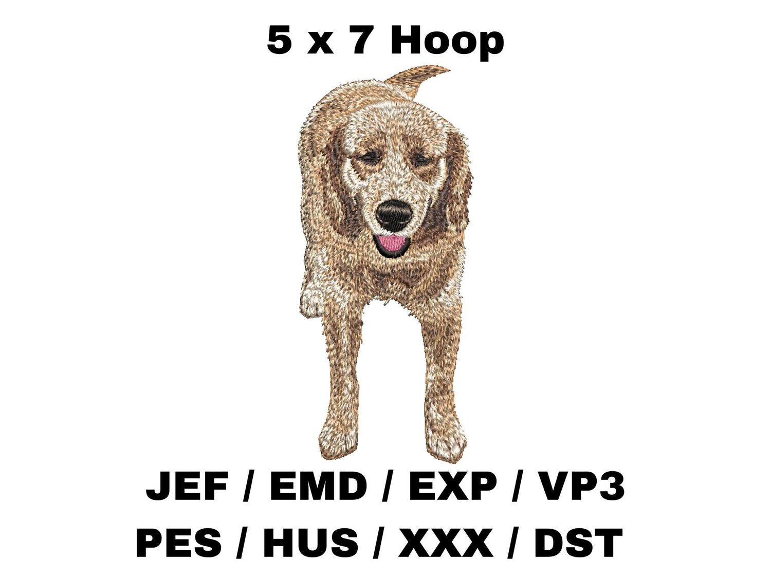 Golden Retriever 7 - Full Body